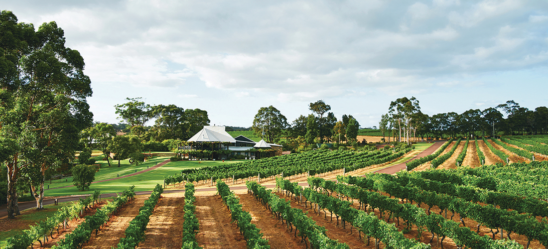 Vasse Felix Estate 